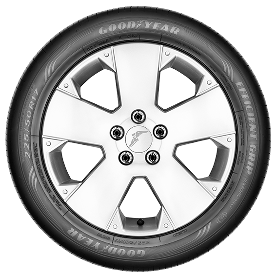 225/45/R17 GOODYEAR EFFIGRIP 91Y AO ORIENTAL